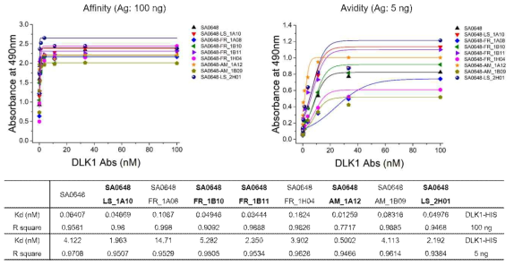 DLK1-SA0648 인간항체 변이체들의 항원에 대한 친화도 비교 II: 8종