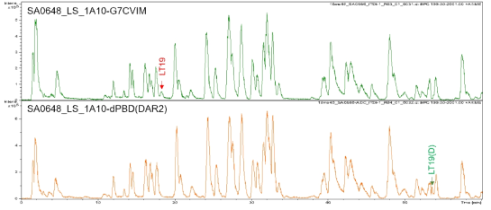 SA0648_LS_1A10-dPBD(DAR2)의 중쇄와 경쇄의 peptide mapping