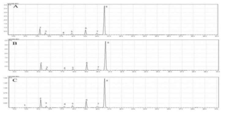 GC-MS chromatograms of fatty acids from the leaf of the faba bean. A: PI567883, B: PI369511, C: PI284345. 1–8: fatty acids listed in Table 1-24