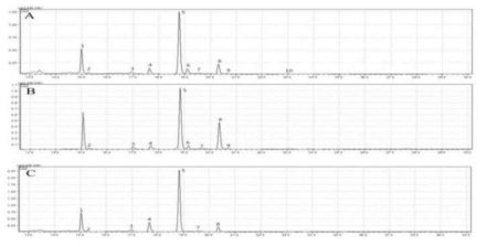 GC-MS chromatograms of fatty acids from the seed of the faba bean. A: PI614810, B: PI430715, C: PI252004. 1–10: fatty acids listed in Table 1-24