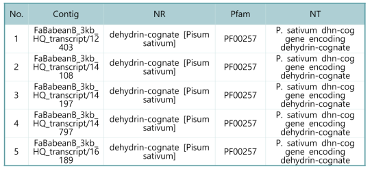 Putative DHN2 genes list from Faba bean full-length library