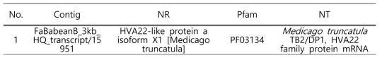 Putative HAV22 gene list from Faba bean full-length library