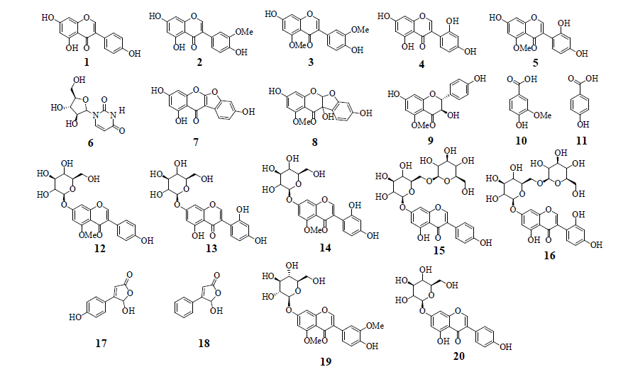 방사선육종 아피오스에서 분리된 대사체의 구조(1: genistein, 2: 3'-methoxy-4',5,7–trihydroxyisoflavone, 3: gerontoiso flavone A, 4: 2'-hydroxygenistein, 5: barpisoflavone A, 6: luridine, 7: lupinalbin A, 8: 5-methoxy-2,5,7,4′-tetra hydroxy-coumaronochromone, 9: aromadendrin 5-methyl ether, 10: vanillic acid, 11: benzoic acid, 12: isoprunetin-7-O-glucoside, 13:2'-hydroxygenistein-7-O-glucoside, 14: 2'-hydroxy-5-methyl genistein-7-O-glucoside, 15: genistein-7-O-gentibioside, 16: 2'- hydroxygenistein-7-O-gentibioside, 17: hydroxybutenolide, 18: 5-hydroxy-4-phenyl-2(5H)-furanone, 19: 3',5-dimethoxygenistein -7-O-glucoside, 20: genistin)
