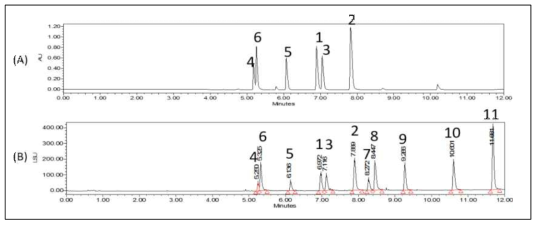UPLC chromatogram (A, UV 254 nm; B, ELSD) of standard mixture (4, daidzin; 6, glycitin; 5, genistin; 1, daidzein; 3, glycitein; 2, genistein; 7, soyasaponin Aa; 8, soyasaponin Ab; 9, soyasaponin I; 10, soyasapogenol A; 11, soyasapogenol B)