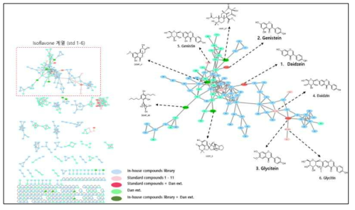 분자 네트워킹 분석 기반 단백콩 추출물 내 isoflavone 계열 대사체 분석
