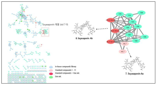 분자 네트워킹 분석 기반 단백콩 추출물 내 soyasaponin 계열 대사체 분석