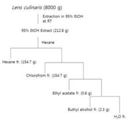 Extraction and solvent partition of the seeds of Lens culinaris