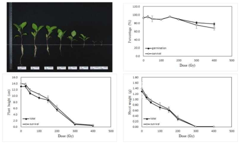 Radio-sensitivity of eggplant to 100MeV proton ions