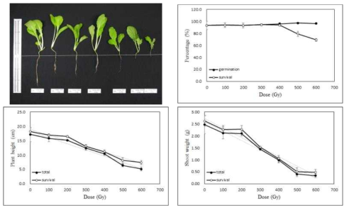 Radio-sensitivity of Chinese cabbage to 100MeV proton ions