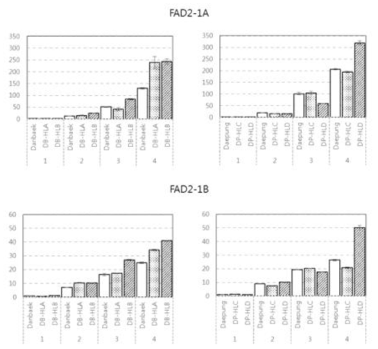 Gene expression analysis of FAD2-1A and FAD2-1B in seed development stage using qRT-PCR. Each gene expression levels were divided by developmental stage, ordered by line name and relatively normalized to the expression level of original cultivar at stage 1