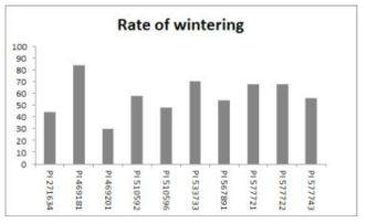 Survival Rate of winter hardiness in ten faba bean lines