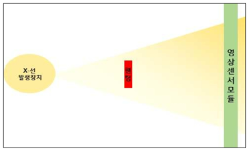 X-선을 이용한 이중에너지 X-선 측정용 영상센서 모듈 테스트 셋업