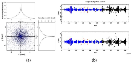 전자총으로부터 80 cm 위치 (표적 위치)에서의 6 MeV 가속전자 빔의 공간분포. (a) 횡방향 (x-y 평면상) 분포, (b) 종방향 (z-축) 분포