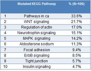 Frequently mutated pathway