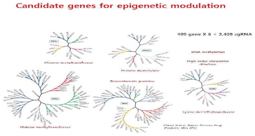 제작에 사용된 400여개의 epigenetic candidate 유전자군 list