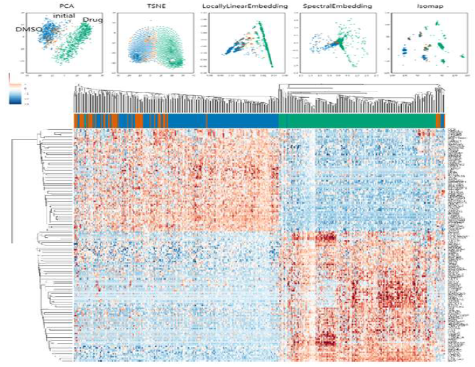 SNV 변이 – 항암제 저항성 상관관계 분석을 위한 다양한 Clustering 방법