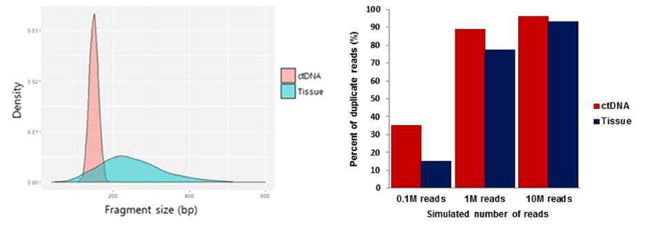 혈액 DNA 단편의 길이 분포 (좌)와 PCR duplicate로 인식되는 데이터의 비율 (우)