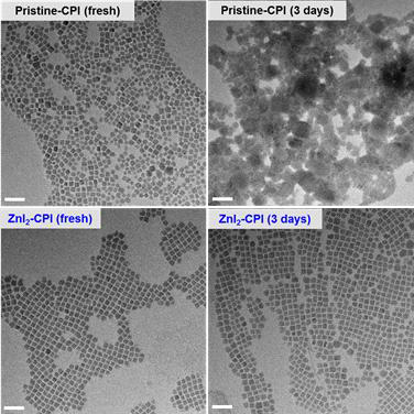 TEM을 통한 CsPbI3 나노입자의 안정성 분석 결과. Chem. Mater. 29, 7088 (2017) 게재