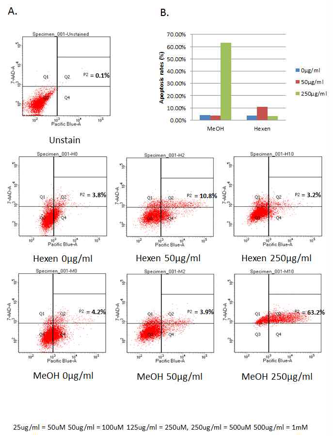 FACS 분석을 통한 세포사멸효과 분석