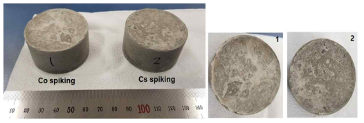 Co, Cs spiking후에 완성된 콘크리트 시료