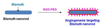 동맥경화의 위험성을 알 수 있는 신생혈관 생성을 표적화하는 bismuth nanorod