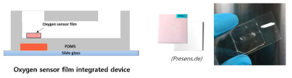 Oxygen scavenger가 적용된 oxygen sensor foil 탑재 미세유체디바이스의 개념도 및 실제 제작된 디바이스 사진