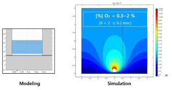 미세유체디바이스 내 산소농도 시뮬레이션을 위한 모델링 및 시뮬레이션 결과 그래프