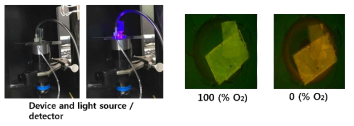 Flow 조건에서 디바이스 내 산소농도 모니터링을 위한 실험사진 및 산소농도에 따른 Oxygen sensor foil의 형광사진