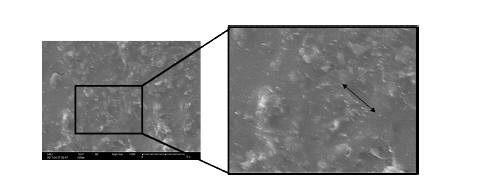 (상) 일반 주조 공정 및 (하) 모세관 활용법을 이용하여 제작된 CNT-PDMS 복합소재 마이크로 구조의 단면 사진