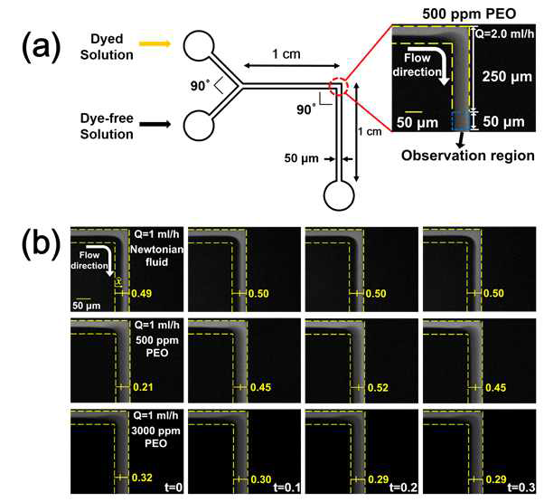 90˚로 굽은 미세유체 소자의 모식도 및 고분자 농도별 시간에 따른 유동의 요동정도(fluctuation) 비교