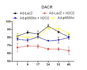 Mitochondrial dysfunction by p66shc expression