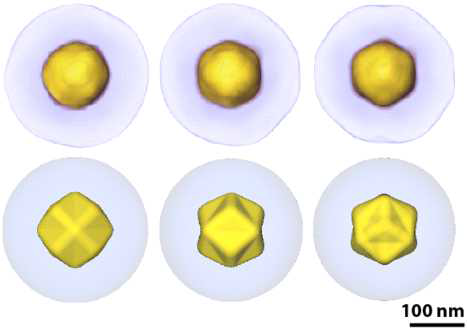 (위) 역격자 공간을 통해 복원된 3차원 이미지(~10nm 해상도). (아래) Tris-octahedron의 시뮬레이션 이미지 (1nm 해상도). 시뮬레이션과 실험을 통해 얻어진 이미지의 비교를 통해 수행된 XFEL 단일입자 3차원 이미징의 정확성을 확인