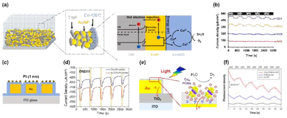 Co-OEC 촉매를 도입한 LbL Au/TiO2 적층 구조의 구조 모식도 및 반응 에너지 다이어그램(a)과 시간에 따른 광전류 그래프(b). 백금 촉매를 증착한 나노 전사 프린팅 기반 Au/TiO2 구조(c)와 시간에 따른 광전류 그래프(d). Co4POM 촉매를 도입한 AAO 기반 Au/TiO2 구조의 반응 모식도(e)와 시간에 따른 광전류 그래프(f)
