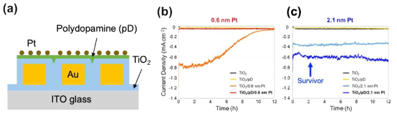 (a) Pt 나노입자 촉매를 폴리도파민(pD) 이용해 코팅한 Au-in-TiO2 광양극 구조 모식도. (b) 0.6 nm와 (c) 2.1 nm 두께로 증착한 Pt 나노입자 촉매에 따른 시간에 따른 광전류밀도 그래프