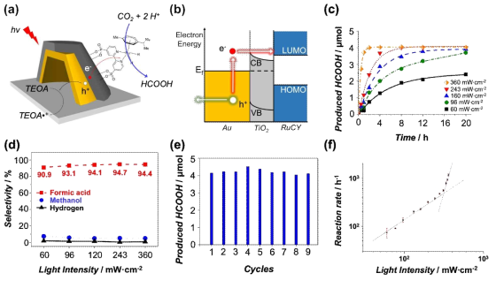 Ru 기판 CO2 환원 분자 촉매를 TiO2 표면에 고정시킨 half-dome TiO2/Au 구조 및 반응 모식도(a)와 에너지 다이어그램 (b). (c) RuCY-TiO2/Au 광촉매 구조를 통해 생성된 시간에 따른 포름산 농도 그래프 (다양한 광원 세기) (d) 광원 세기에 따른 포름산 선택도 (selectivity). (e) 새로운 전해질 환경 하에서 반복한 경우 얻어지는 포름산 생산량. (f) 광원 세기에 따른 반응 속도 그래프. Super-linear 구간이 나타남