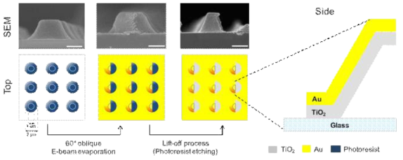 2차원 나노구조인 박막 증착을 통해 만들어진 Half-dome 구조의 모식도와 단계별 SEM 사진