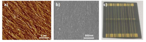 Langmuir Blodgett 공정을 이용한 CNT 정렬 이미지(a,b)와 센서용 전극 형태(c)