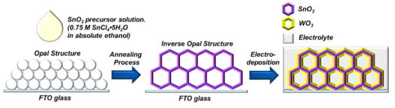 3D IO SnO2/WO3 전극 합성 과정