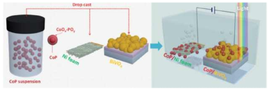 cathode 로 이용된 CoP/Ni Foam 과 anode 로 이용된 CoP/BiVO4를 이용한 PEC/PV tandem cell 모식도