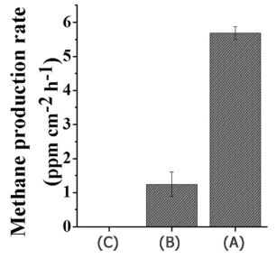 (a) rGO-TNTNP, (b) TNT, (c) rGO-TiO2 포일의 메탄 발생량