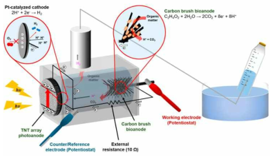 광전극-미생물 전극 융합 수소 생산 시스템