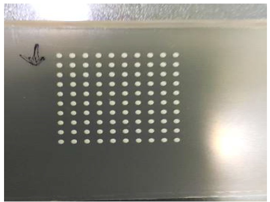 직경 1mm Ag 단일 원소 방사화 시편 배열