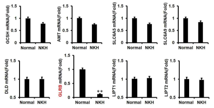 GLRB mRNAs levels in NKH cortical neuron