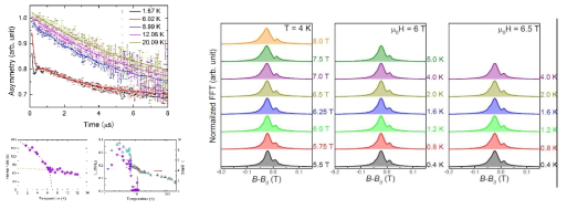 (왼쪽) α-RuCl3 시료의 ZF-μSR 스펙트럼과 뮤온 스핀 완화시간 (오른쪽) 고자기장하의 TF-μSR 스펙트럼의 FFT
