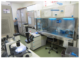 일본 NIRS의 중이온 생물학 실험실