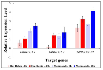 Relative expression level of genes linked with the salt tolerance based on the qPCR study. The values are means (±SE) of three replicates