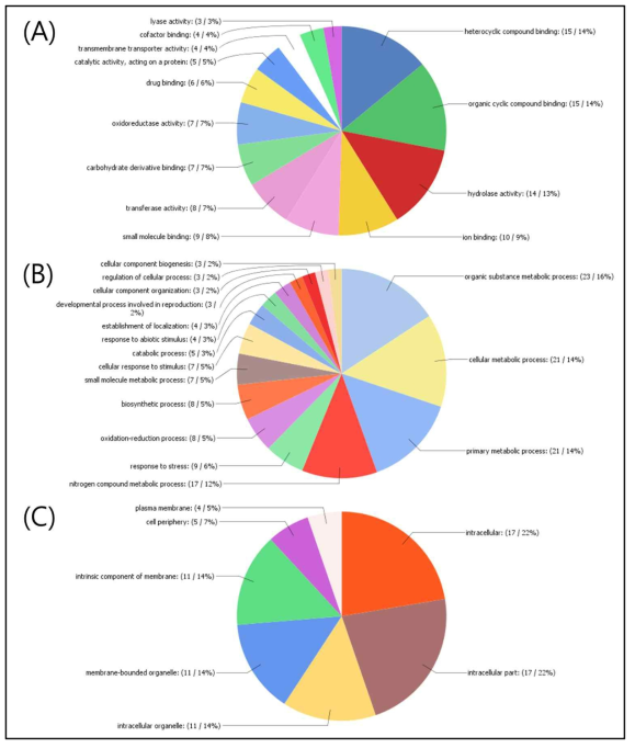 Gene ontology analysis of commonly increased transcripts in both resistant and susceptible durum wheat cultivars under salt-stress condition. GO terms of molecular function (A), biological process (B), and cellular component (C)