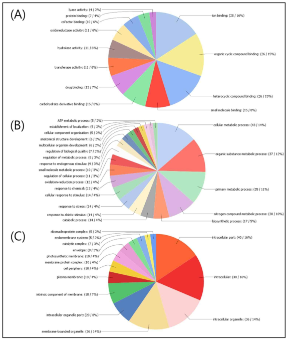 Gene ontology analysis of commonly decreased transcripts in both resistant and susceptible durum wheat cultivars under salt-stress condition. GO terms of molecular function (A), biological process (B), and cellular component (C)