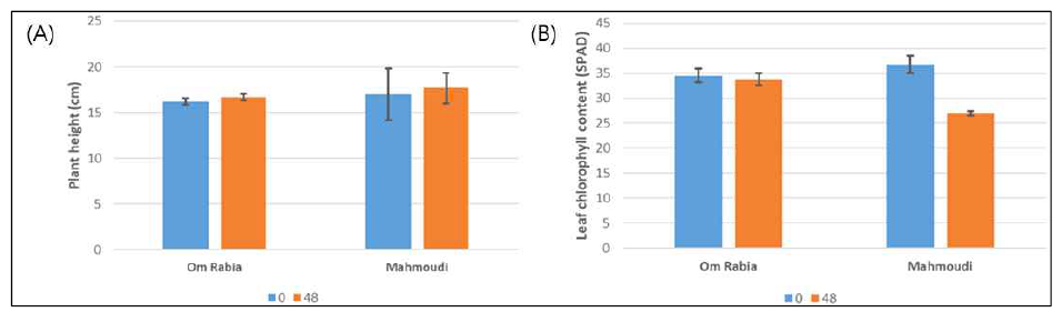 (A) Comparison of plant height of Tunisian durum wheat cultivars between before and after 48 hours salt treatment. (B) Comparison of leaf chlorophyll content of Tunisian durum wheat cultivars between before and after 48 hours salt treatment