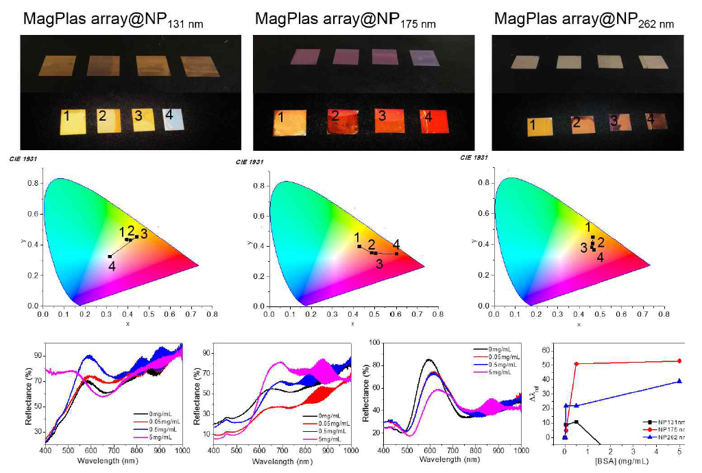 BSA에 대한 민감도 테스트 결과. 마그네토플라즈모닉 어레이의 색변화를 육안으로 관찰한 이미지, 색지도 및 reflectance spctrum 측정 결과